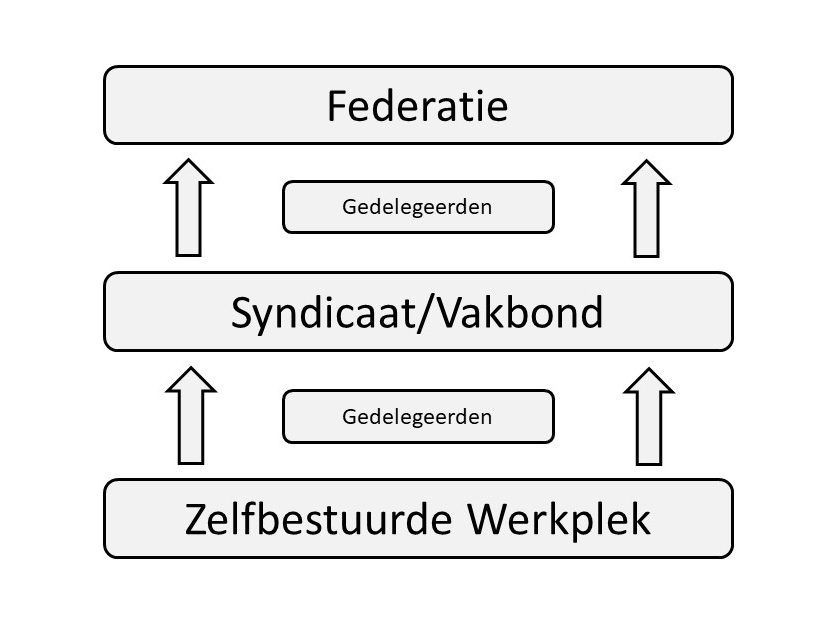 basisschema_syndicalistische_organisatie.jpg
