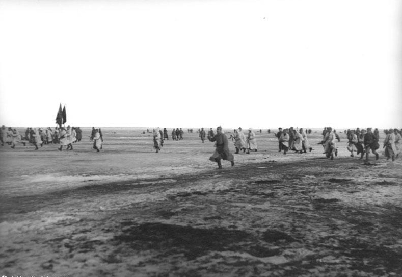 kronstadt_03.jpg