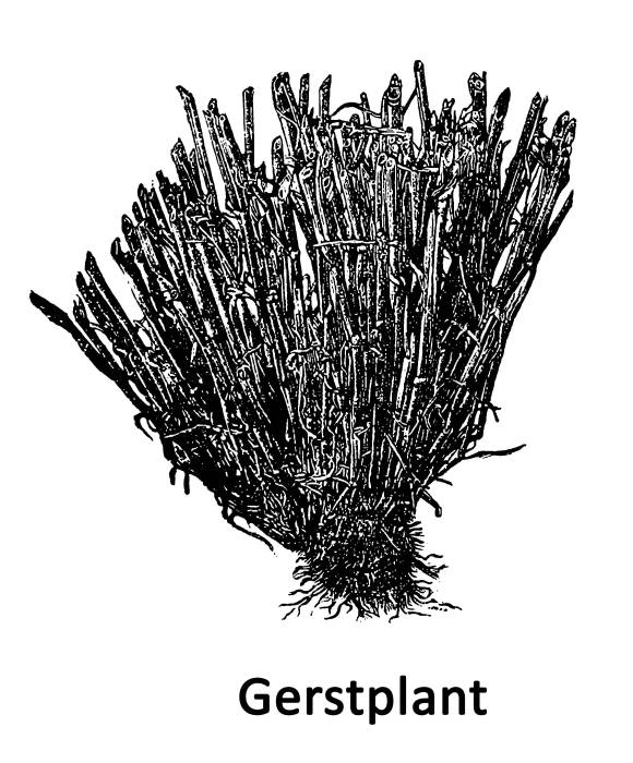 velden_fabrieken_werkplaatsen_04.jpg