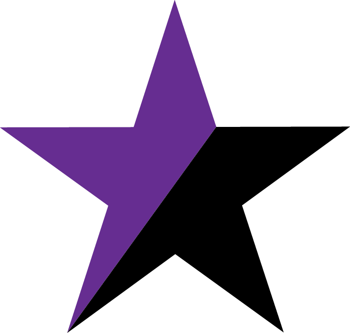 zwart-paarse_ster.png